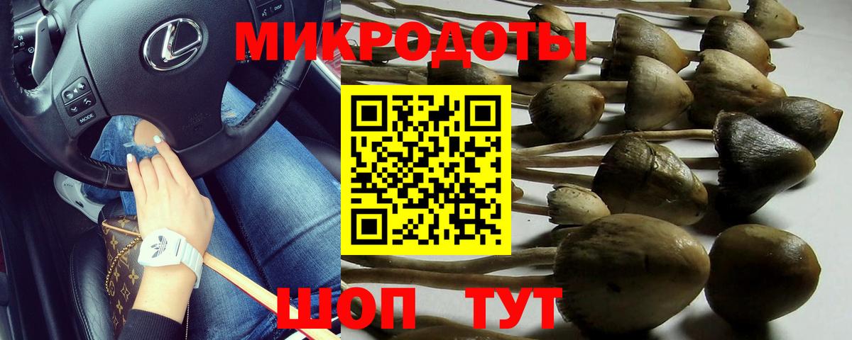 Ачинск  что такое наркотик  Вход с VPN  Галлюциногенные грибы Psilocybe 